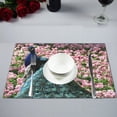 thumbnail image 1 of BSDHOME Peacock Kitchen Table Mat Placemats for Dining Table 12x18 inches, 1 of 4