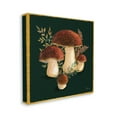 thumbnail image 3 of Stupell Industries Mushrooms on Black Botanical & Floral Painting Gallery Wrapped Canvas Print Wall Art, 36 x 36, 3 of 7