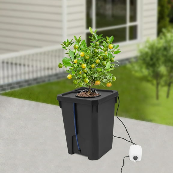 ChicHomey Hydroponics Growing System,Recirculating Drip Garden System with Pump,for Growing Leafy Greens