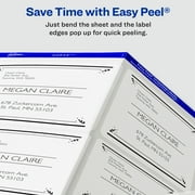 Avery Shipping Labels, Sure Feed, 2 x 4, 100 Clear Labels (18663)