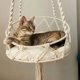thumbnail image 4 of Kattgunga i Makramé Design, Beige, 4 of 5