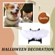 thumbnail image 4 of Disfraz de ángel Matsuzay alta gama para gatos Cosplay Halloween, 4 of 6