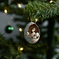thumbnail image 6 of Dongrere Animal Christmas Ornaments Personalized Acrylic Hanging Woodland Christmas Ornaments for Home, Office and Gift Giving, 6 of 6
