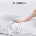 thumbnail image 3 of Kasentex  White Down and Feather Pillow - Triple Layer Fill and Design, Soft Touch Bed Pillow - Oeko Certified King, 3 of 6
