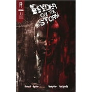 Ryder on the Storm #1 VF ; Radical Comic Book