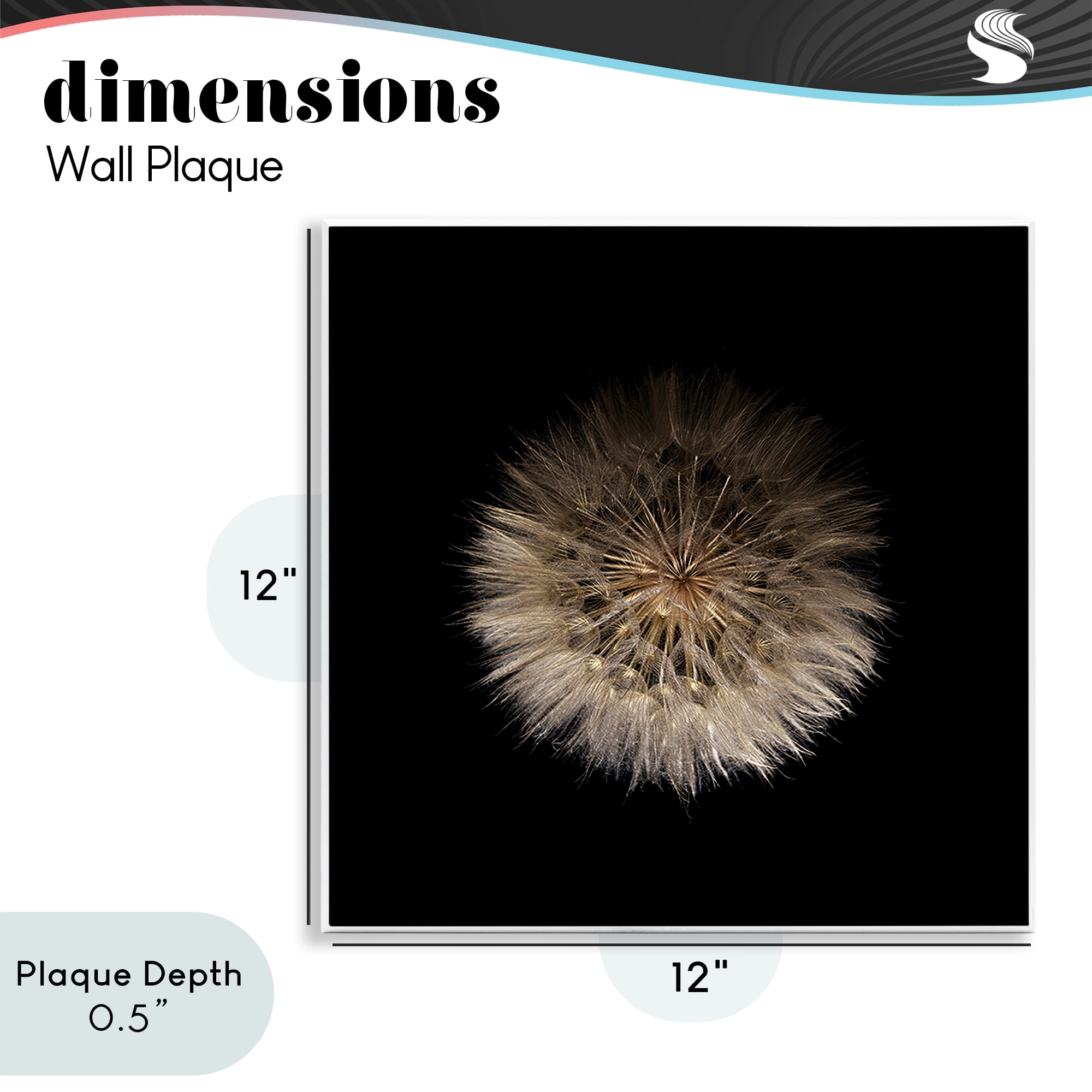 Stupell Industries Wispy Dandelion on Black Wall Plaque Art, design by Beth Adoette