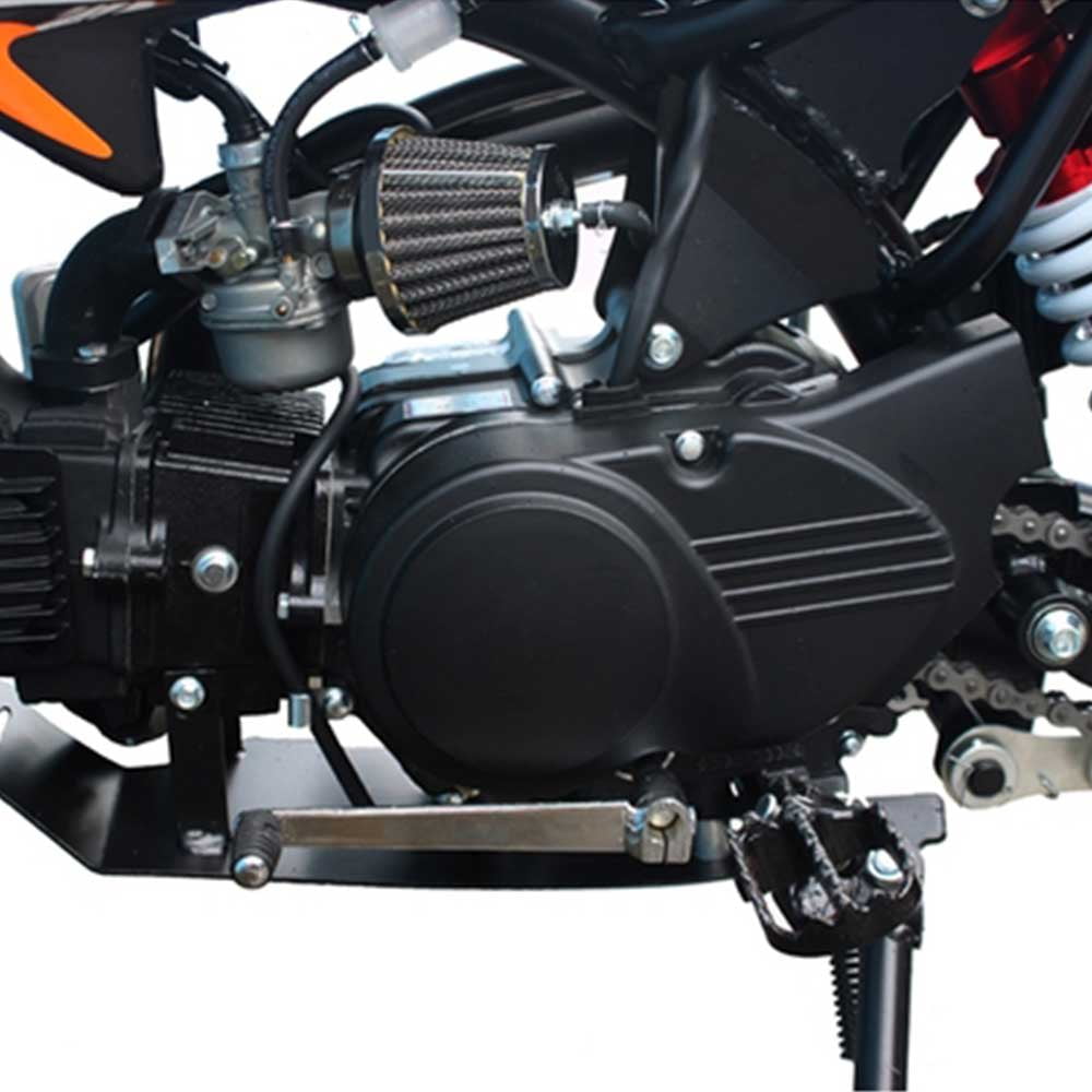 Tao Tao DB 14 110cc Dirt Bike Semi-Auto Off Road Dirt Bike- GREEN