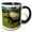 Black/White, variant on 3drose, Giant Tortoise, Fregate Island, Seychelles-af39 Awr0009 - Alison Wright, 11oz Two-tone Yellow Mug