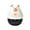 D, variant on Black Friday TIMIFIS Timer Kitchen Timer Kitchen Timer Analogue Alarm Gadget Bell Time Food Timer Cooking Chef