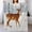 Flannel Blanket Deer and Birds in Winter Woods blanket 30"x40" 1, variant on GXFC Stormy Sea Lighthouse and Sailboat Blanket, comfortable and soft, warm casual blanket, winter sofa dormitory home decoration60x80 inches.