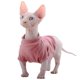 thumbnail image 1 of Sphynx Hairless Cats Shirt, Kitten Sweater T-Shirts with Sleeves, Turtleneck Breathable Cat Clothes, Cute Hairless Cat Clothes Vest Pajamas Jumpsuit f, 1 of 5