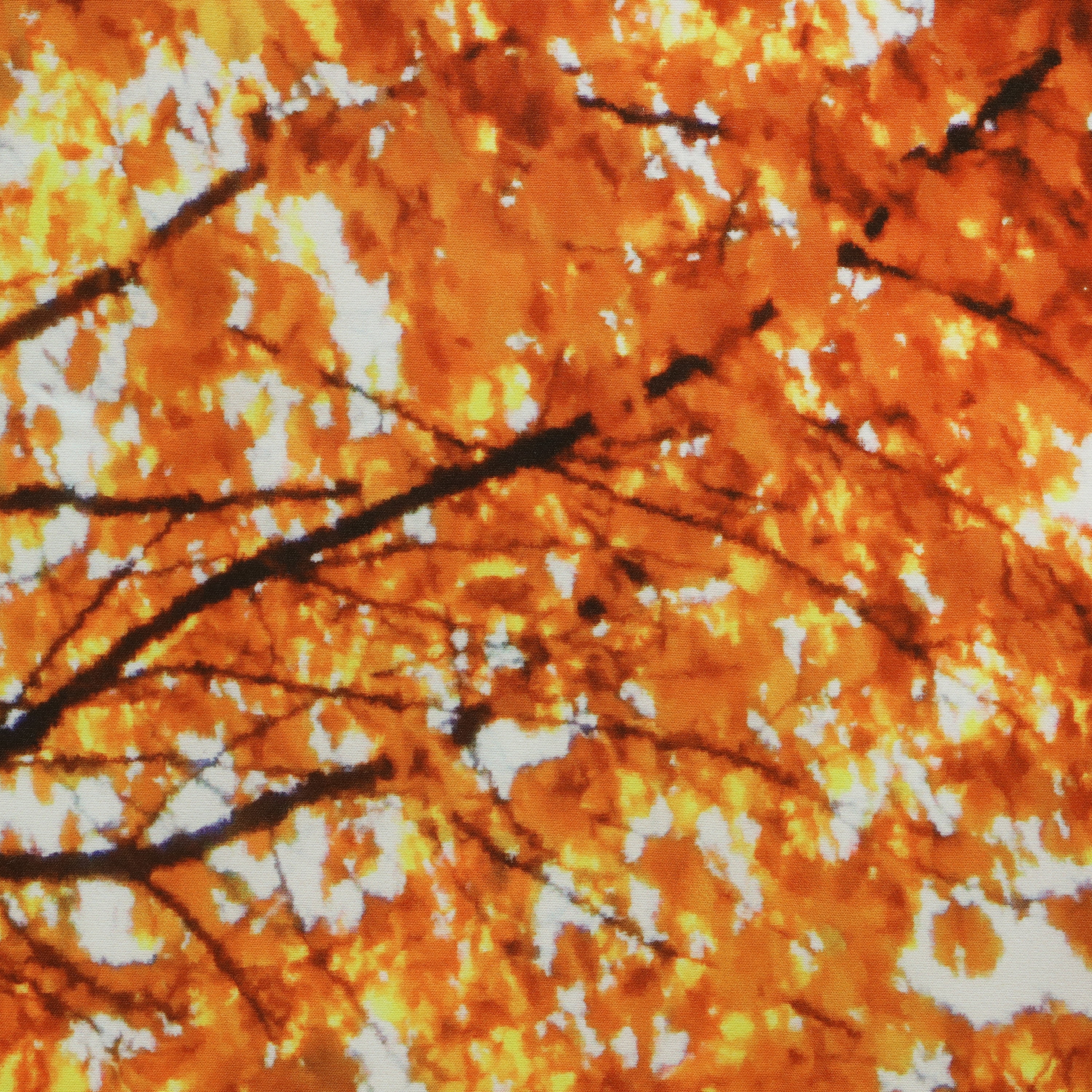 Fall Tree Digital Panoramic Print Curtain Pair 76" x 84" in Multi