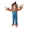 thumbnail image 1 of Disfraz Way to Celebrate Source Espantapájaros Toddler Niño Talla 2 Modelo 8320.2, 1 of 4