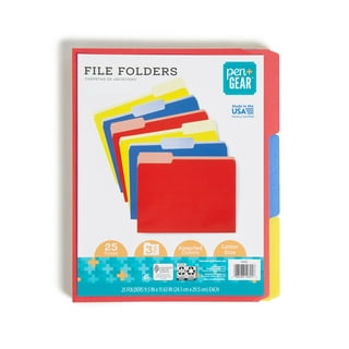   Basics Expanding Organizer File Folder, Letter