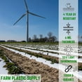 Farm Plastic Supply White Greenhouse Plastic Sheeting 6 mil (50
