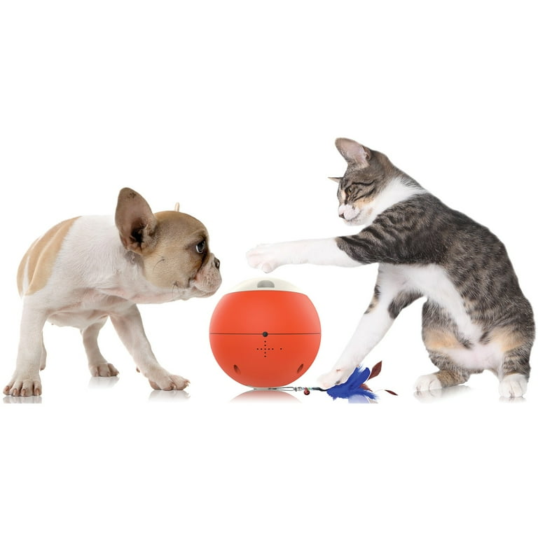 Gosh v15 easyPlay Robotic Pet Fitness Puzzle Walmart