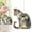 Q, variant on Goowood Suncatcher Sun Catcher Window Hanging Animal Bear Decorative Hanging Ornaments for Indoor Window Garden Home Decor Gift for Women