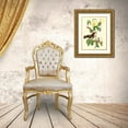 thumbnail image 3 of Cuvier, Georges 12x14 Gold Ornate Wood Framed with Double Matting Museum Art Print Titled - Cuvier Exotic Birds I, 3 of 4