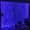 Blue, variant on 300LED Orange Fairy Curtain Lights with Remote Control, 8 Modes Timer, USB Plug-in Christmas String Lights for Bedroom, Fall, Halloween, Weddings, Party Decorations