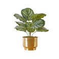 thumbnail image 2 of Artificial Calathea plant in pot - Bianca, 2 of 3