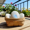 thumbnail image 3 of Flash Moonstone Palm Stone Polished Calming Healing Crystal Tumbled Stone Gift, 3 of 3