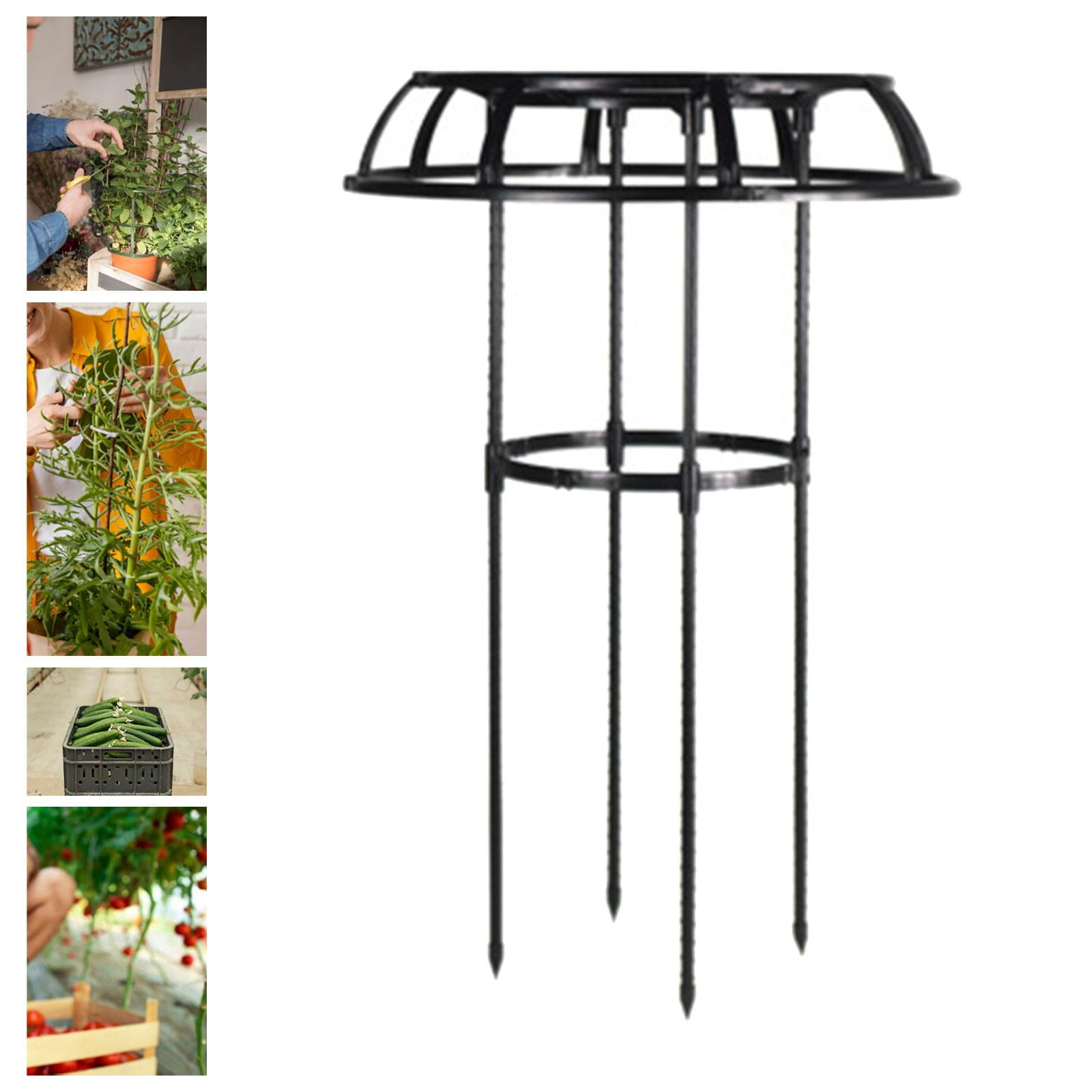 figatia Garden Trellis Plant Support Trellis Decorative Tools Black Vertical Multipurpose,Metal Plant Trellis Tomato Cage for Flowers 75x50cm