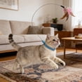 thumbnail image 4 of Baguette Interactive pour Chat avec Collier Ajustable pour Divertissement Intérieur et Exercice Félin, 4 of 5