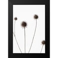 thumbnail image 2 of 1x Studio III 11x14 Black Modern Framed Museum Art Print Titled - Thistle Grey 10, 2 of 5
