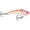 Multi, variant on Rapala Slab Rap 5 Lipless Crankbaits