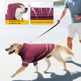 thumbnail image 4 of CBFFDC Quick Drying Pet T-shirt Pet T shirt Soft Breathable Reflective Strip Comfortable Quick Drying Protection Polyester Sports Dog T shirt with Hat Outdoor, 4 of 6
