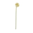 thumbnail image 6 of 31" Plastic Floral Tall Allium Artificial Flower Stem, by DecMode (8 Count), 6 of 9