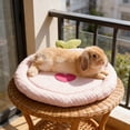 thumbnail image 5 of Cooling Pet Mat for Small to Medium Dogs and Cats Portable Fruit Pattern Breathable Sleeping Pad for Summer Indoor Outdoor Travel, Washable and Foldable Pet Bed for Floor Sofa Car Seat, 5 of 6