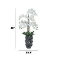thumbnail image 2 of 43" White Orchid Arrangement in a Tall Black Planter | Real Touch White Moth Orchids in a Black Planter by Fiori Sempre, 2 of 5