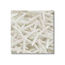 Nautical White Starfish Photography Coastal Photograph Gallery Wrapped Canvas Print Wall Art