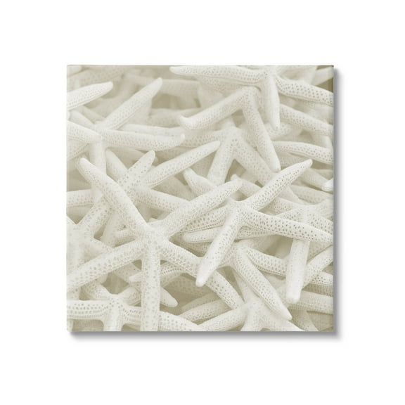 Nautical White Starfish Photography Coastal Photograph Gallery Wrapped Canvas Print Wall Art