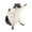 Flying Squirrel, variant on yotijay Animal Figurine Model Collection Home Decor Realistic Detailed Action Figure Chipmunk