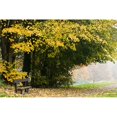 thumbnail image 1 of Dun Na Ri Forêt Parc Comté Cavan Ireland - Parc en Automne Affiche Imprimée par Peter McCabe&44; 34 x 22 - Grand, 1 of 1