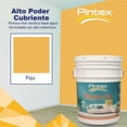 thumbnail image 2 of PINTEX Kit Pinta-me Pintura Vinil-Acrílica 19 L | Incluye Brocha, Mini Rodillo, Felpas, Masking Tape y Plastiprotector | Acabado Mate | Fácil Aplicación | Interiores y Exteriores | Paja, 2 of 5