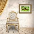 thumbnail image 3 of Mansfield, Kathy 14x10 Gold Ornate Wood Framed with Double Matting Museum Art Print Titled - On a Leaf, 3 of 4