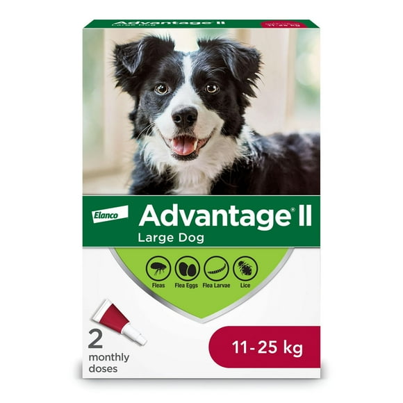 Advantage II Flea Treatment for Large Dogs