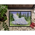 thumbnail image 3 of Maltese Indoor Outdoor Mat 18x27 Doormat, 3 of 4