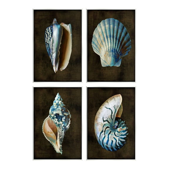 Stupell Industries Dark Maritime Seashells Animals & Insects Painting Unframed Art Print Wall Art, 10 x 15, Set of 4
