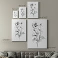 thumbnail image 4 of Wild Poppy Sketch Premium Gallery Wrapped Canvas - Ready to Hang, 4 of 9
