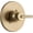 Champagne Bronze, variant on Delta Trinsic Monitor® 14 Series Valve Only Trim in Chrome T14059