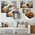 thumbnail image 4 of Designart "Majestic Bear in a Pastoral Scene I" Animals Metal Wall Art, 4 of 5
