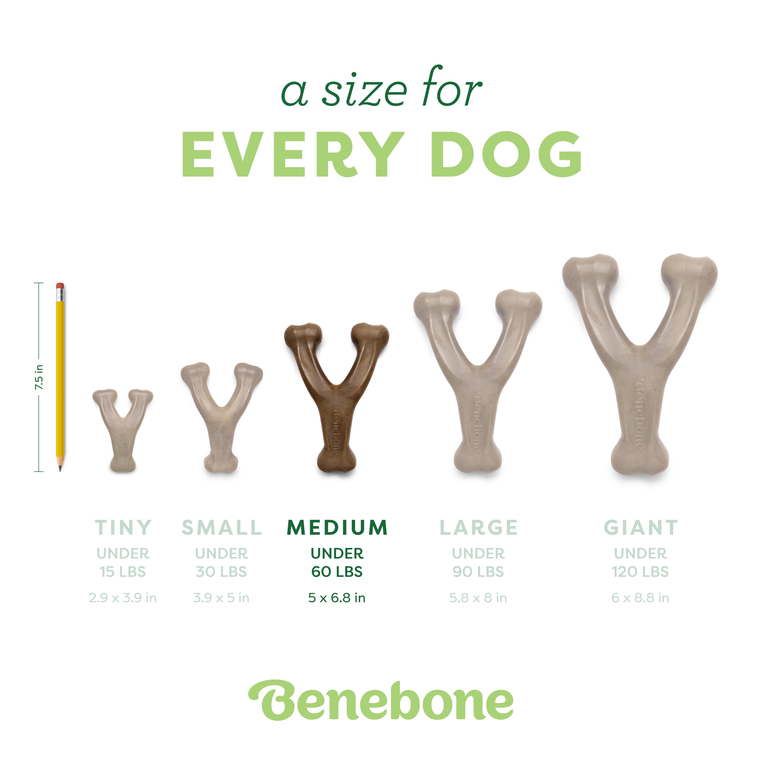 Benebone Wishbone Durable Dog Chew Toy for Aggressive Chewers, Real Peanut, Medium