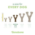 thumbnail image 6 of Benebone Wishbone Durable Dog Chew Toy for Aggressive Chewers, Real Peanut, Medium, 6 of 9