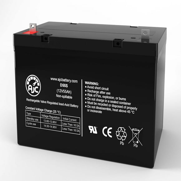 Raion Power RG12550I4 12 Volt 55 Amp Hour 12V 55Ah Sealed Lead Acid Battery - This Is an AJC Brand Replacement