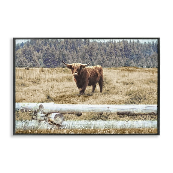 Stupell Industries Country Cattle with Fence Animals & Insects Photography Black Framed Art Print Wall Art, 18 x 12