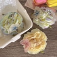 thumbnail image 5 of Women Fashion Hairpin Duckbill Clip Hair Styling Tools Hair Barrettes Side Hair Clip Flower Hairpin Butterfly Hairpin YELLOW, 5 of 7